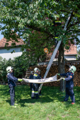 FJ_48h_Tag_2020-9007