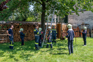 FJ_48h_Tag_2020-9010