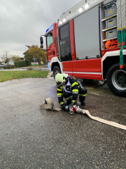 243D193D-22D8-4710-A79E-E3B1087C4885